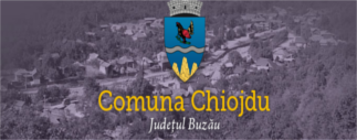 Primaria Chiojdu